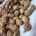 香砂，正品干货，干净无杂质香料调味料品质保障