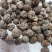 草蔻（草豆蔻）货品优质，干度好，基地直发