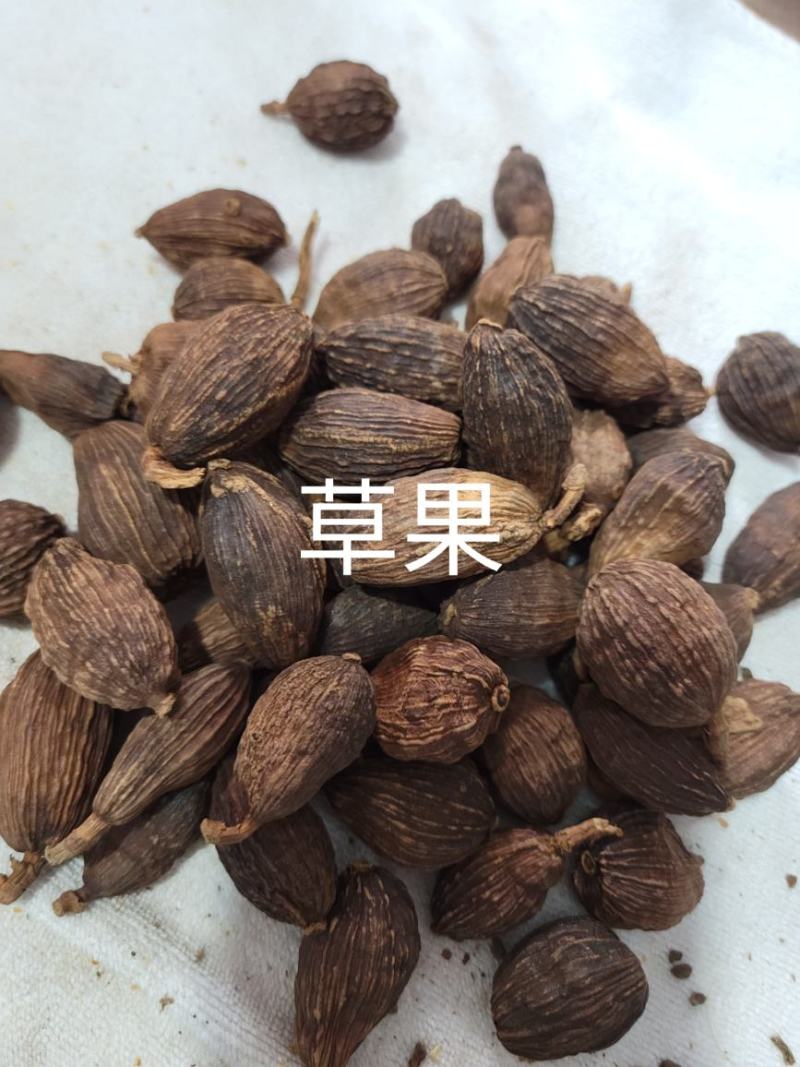 草果（大草果）无硫草果干度好，含量高。