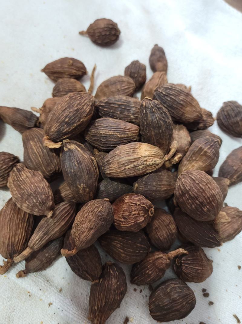 草果（大草果）无硫草果干度好，含量高。