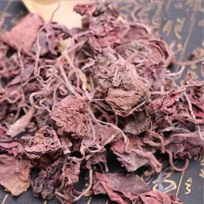 紫背天葵又名红天葵干品新干货干净无杂包邮