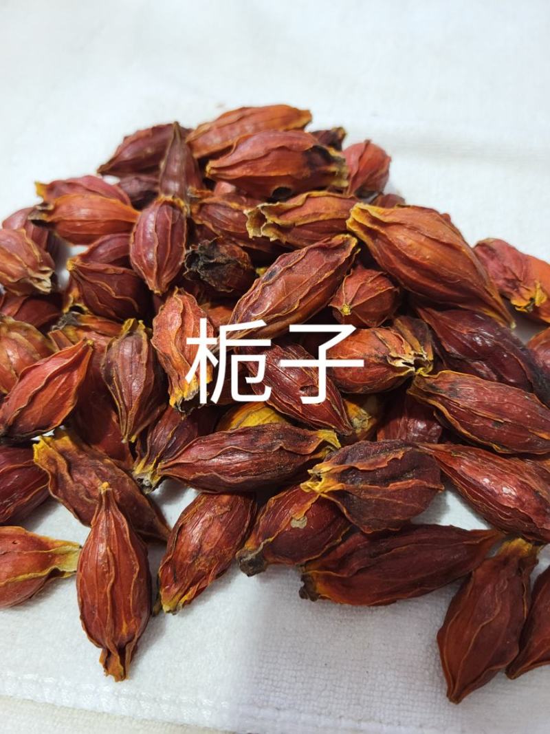 栀子，（山枝子）黄枝子干度好品质纯正，基地直发