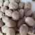 肉蔻（肉豆蔻）肉蔻正品优选，基地直发假一罚万