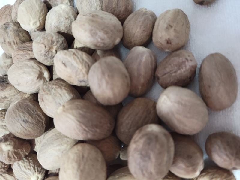 肉蔻（肉豆蔻）肉蔻正品优选，基地直发假一罚万