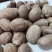 肉蔻（肉豆蔻）肉蔻正品优选，基地直发假一罚万
