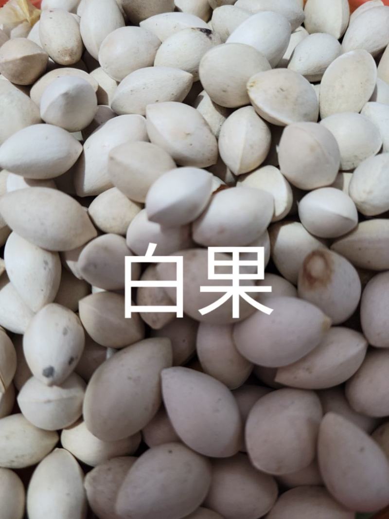 白果（银杏果）2021新货无硫无添加净货中药材批发