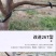 改进型开角器拉枝器压枝别枝弯枝工具带胶管不带胶管果树开角