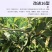 改进型开角器拉枝器压枝别枝弯枝工具带胶管不带胶管果树开角