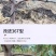 改进型开角器拉枝器压枝别枝弯枝工具带胶管不带胶管果树开角