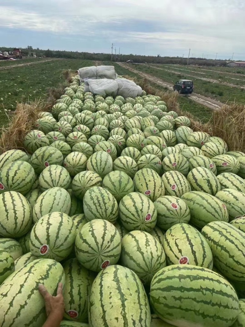 宁夏硒砂瓜，石头瓜，品质保证，口感甜，皮薄肉红，耐运输