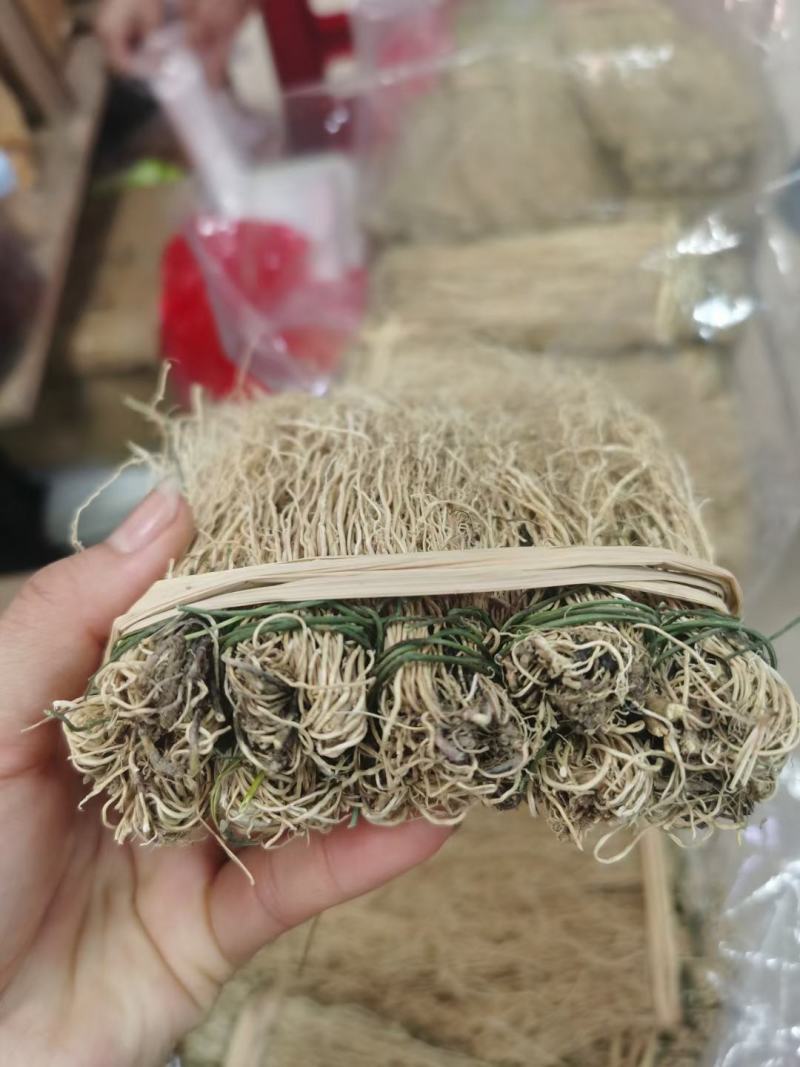 软肝草种植大户追求品质专注批发一年四季现挖现卖保持货新鲜