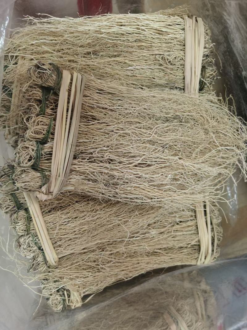 软肝草种植大户追求品质专注批发一年四季现挖现卖保持货新鲜