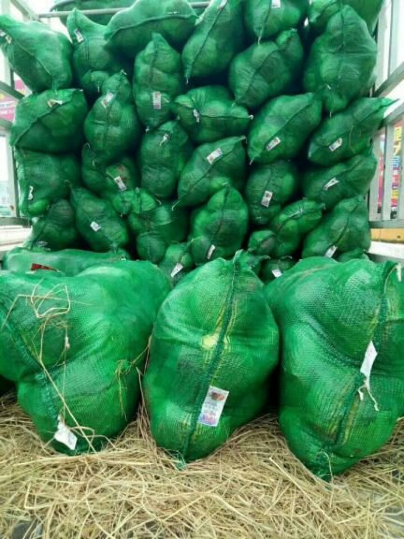 【甘蓝】湖北精品扁包菜大型基地现砍现装欢迎来电咨询