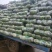 【甘蓝】湖北精品中甘甘蓝，大型基地保质保量代发全国