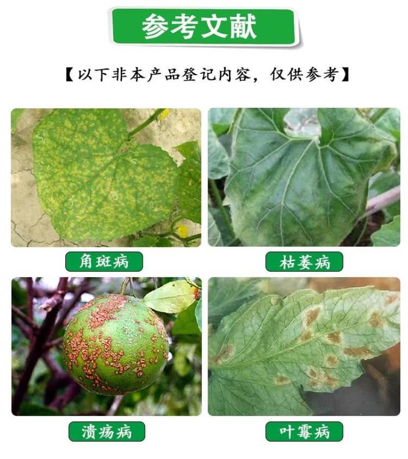 6%春雷霉素果树黄瓜细菌角斑病稻瘟病春雷毒素细菌病害杀菌