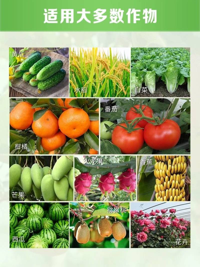 6%春雷霉素果树黄瓜细菌角斑病稻瘟病春雷毒素细菌病害杀菌