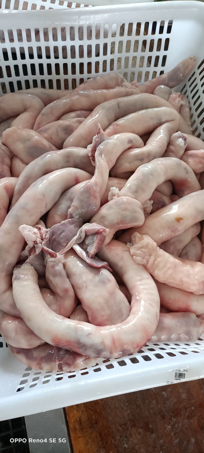 蒙古肉肠