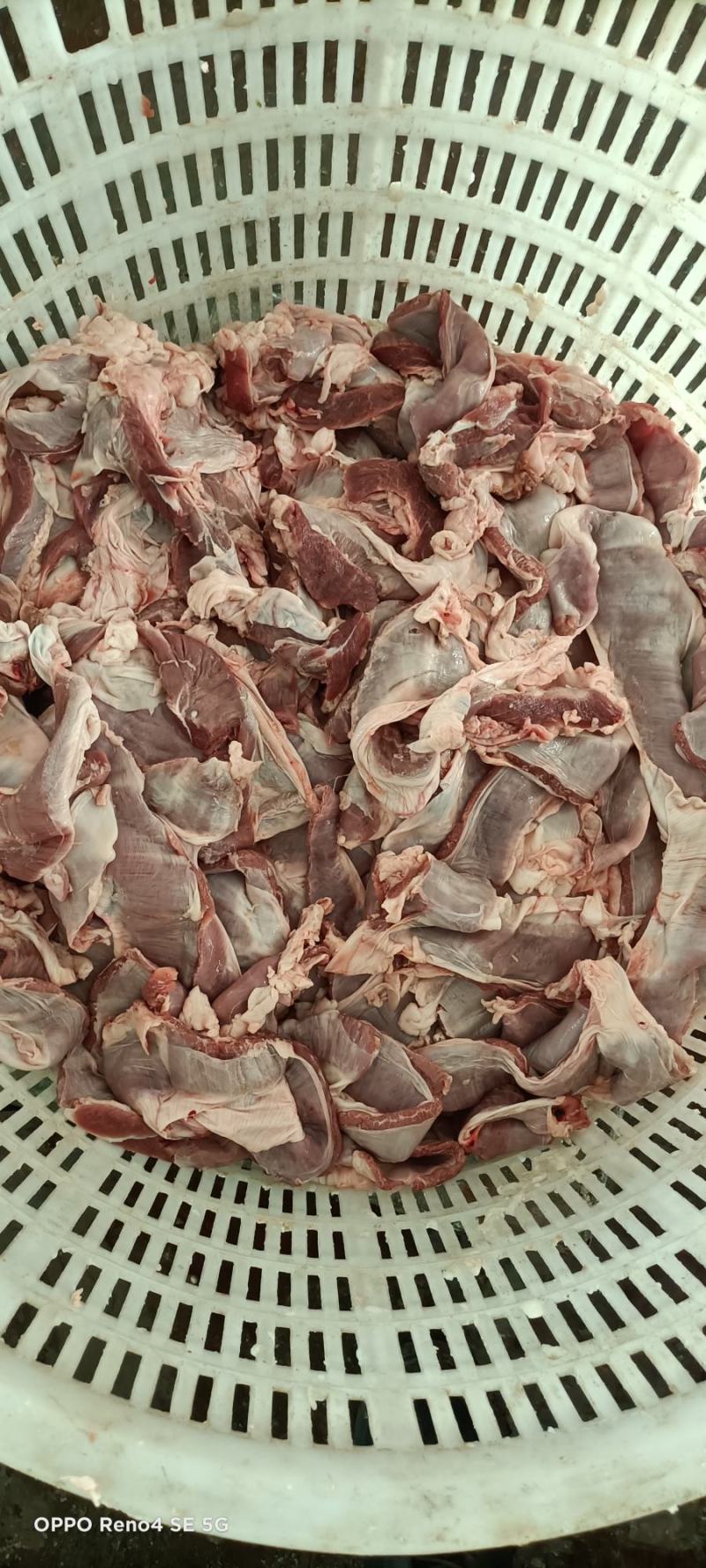 蒙古肉肠