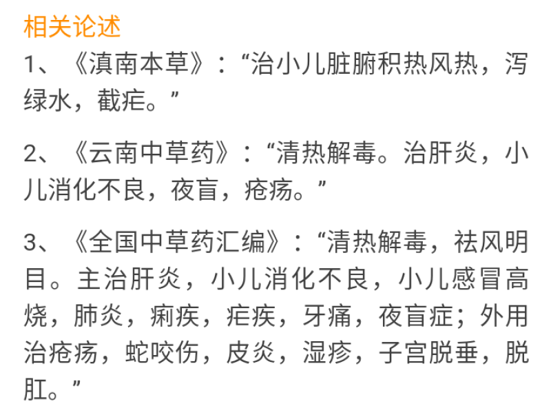 野生鱼眼草三仙菜星宿草地胡椒小馒头草鼓丁草翳子草地细辛