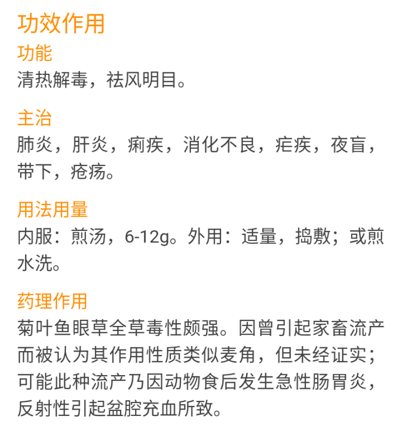 野生鱼眼草三仙菜星宿草地胡椒小馒头草鼓丁草翳子草地细辛