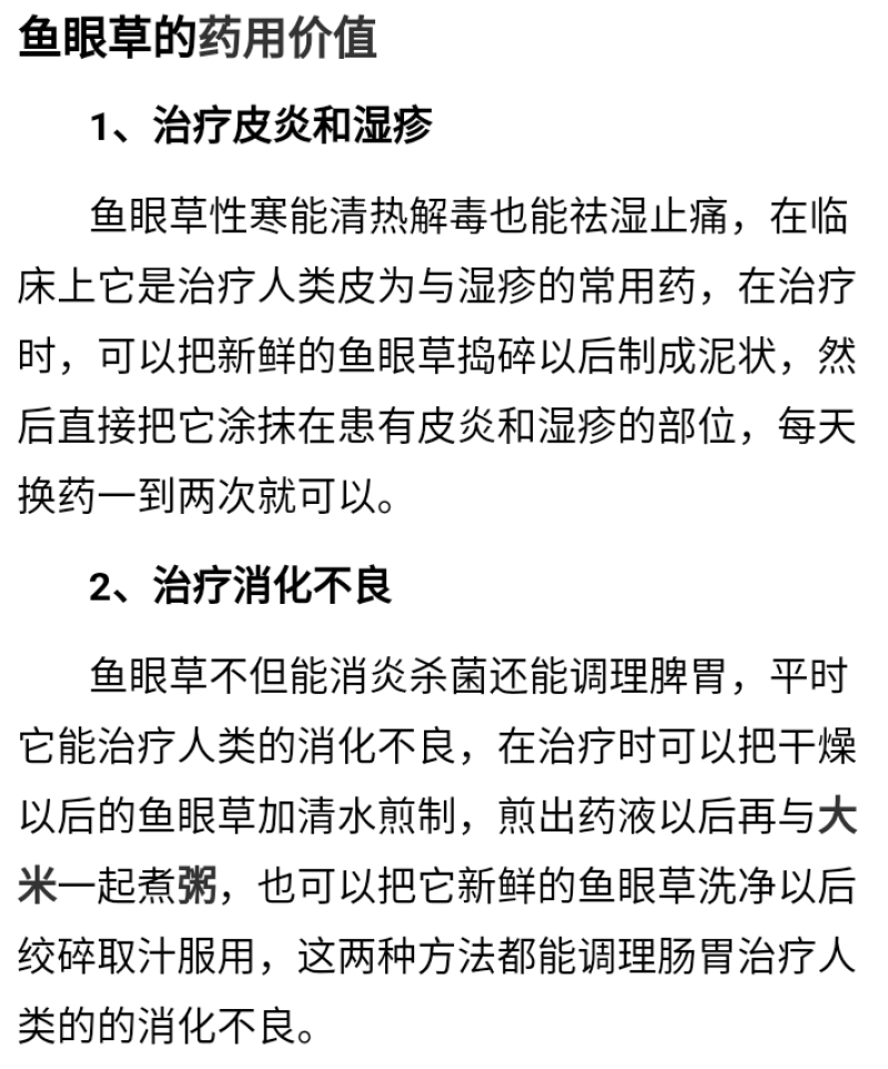 野生鱼眼草三仙菜星宿草地胡椒小馒头草鼓丁草翳子草地细辛