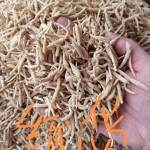 包邮批发太子参正品贵州太子参中药材太子参无需运费