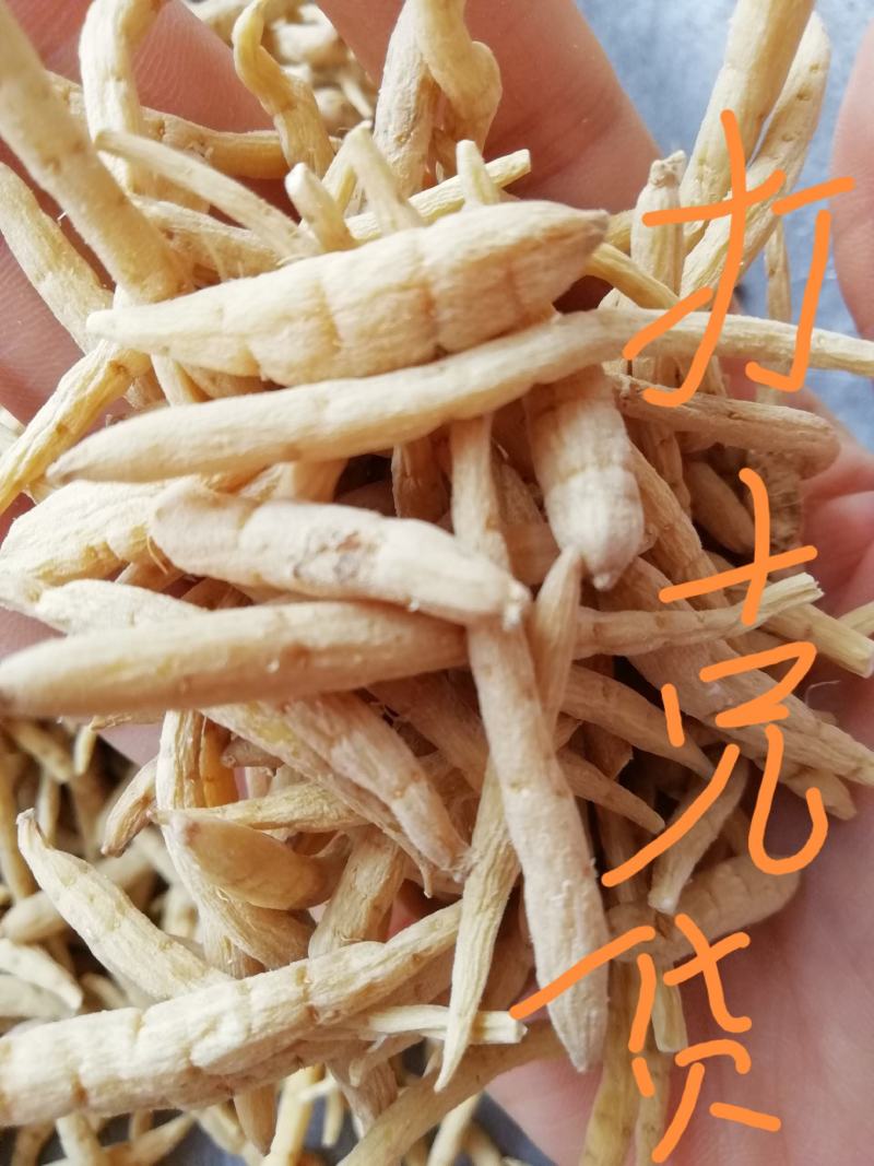 包邮批发太子参正品贵州太子参中药材太子参无需运费