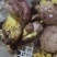 各种野生菌批发