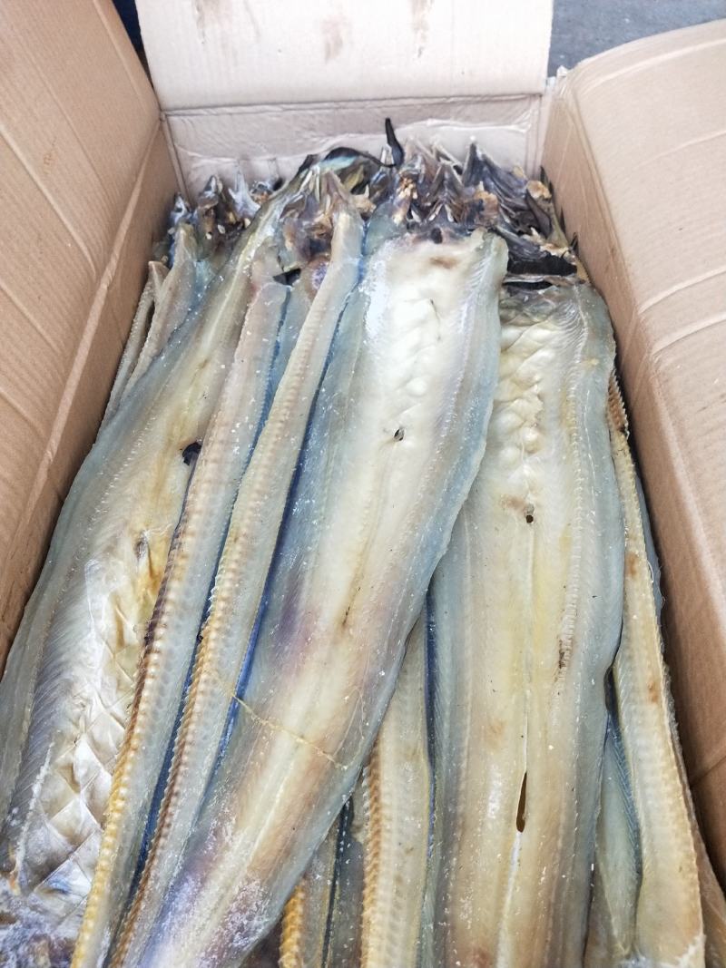 鳗鱼干淡干微咸一箱净48斤去内脏可视频看货一手货源不包邮