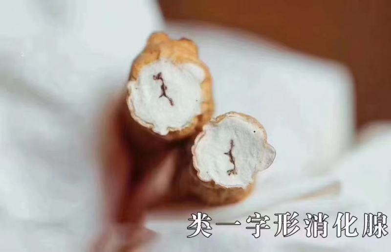 冬虫夏草西藏那曲虫草产地直供正品保证