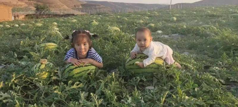 宁夏硒砂瓜大量上市，产地直供，双红瓤甜度高，产地直供！！