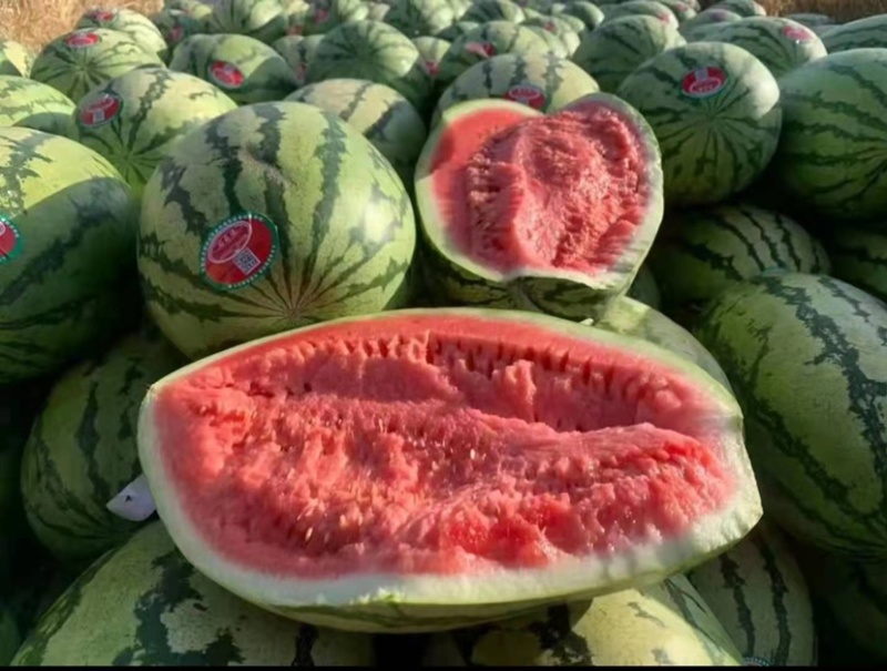 精品宁夏硒砂瓜，货源充足产地直销一手货源，品质保证
