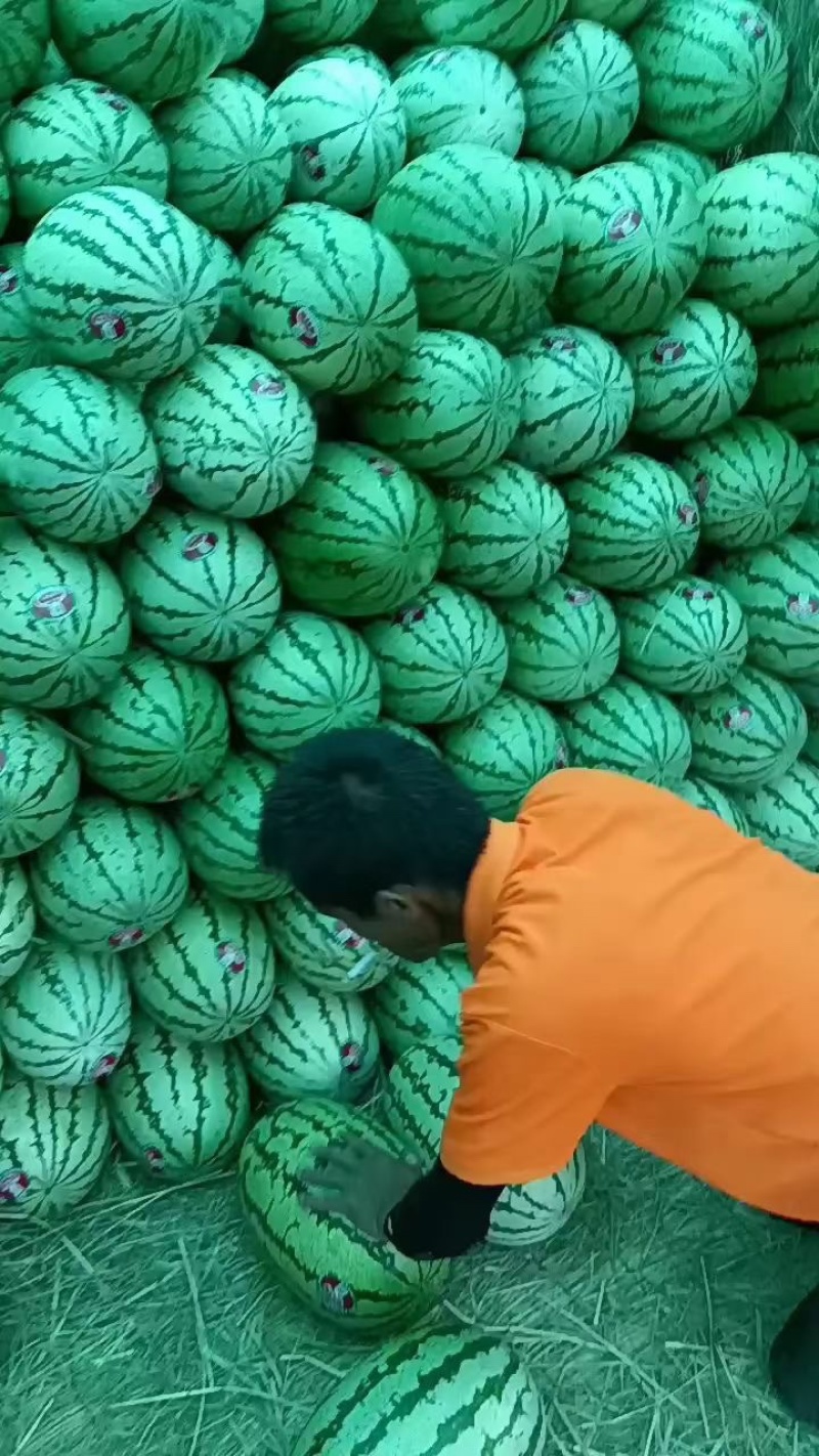 精品宁夏硒砂瓜，货源充足产地直销一手货源，品质保证
