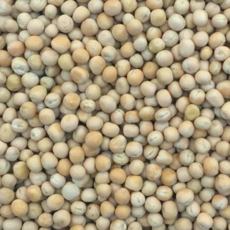 白豌豆粉(熟)80目.厂家直销.量大包邮