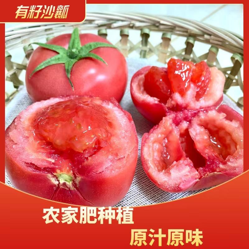 粉果西红柿