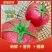 粉果西红柿