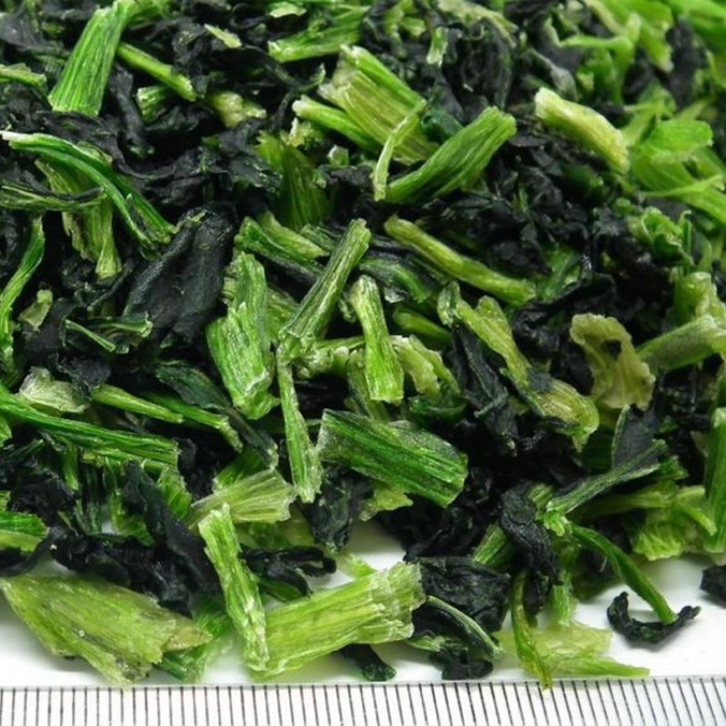 脱水小青菜.10x10.厂家直销.量大包邮