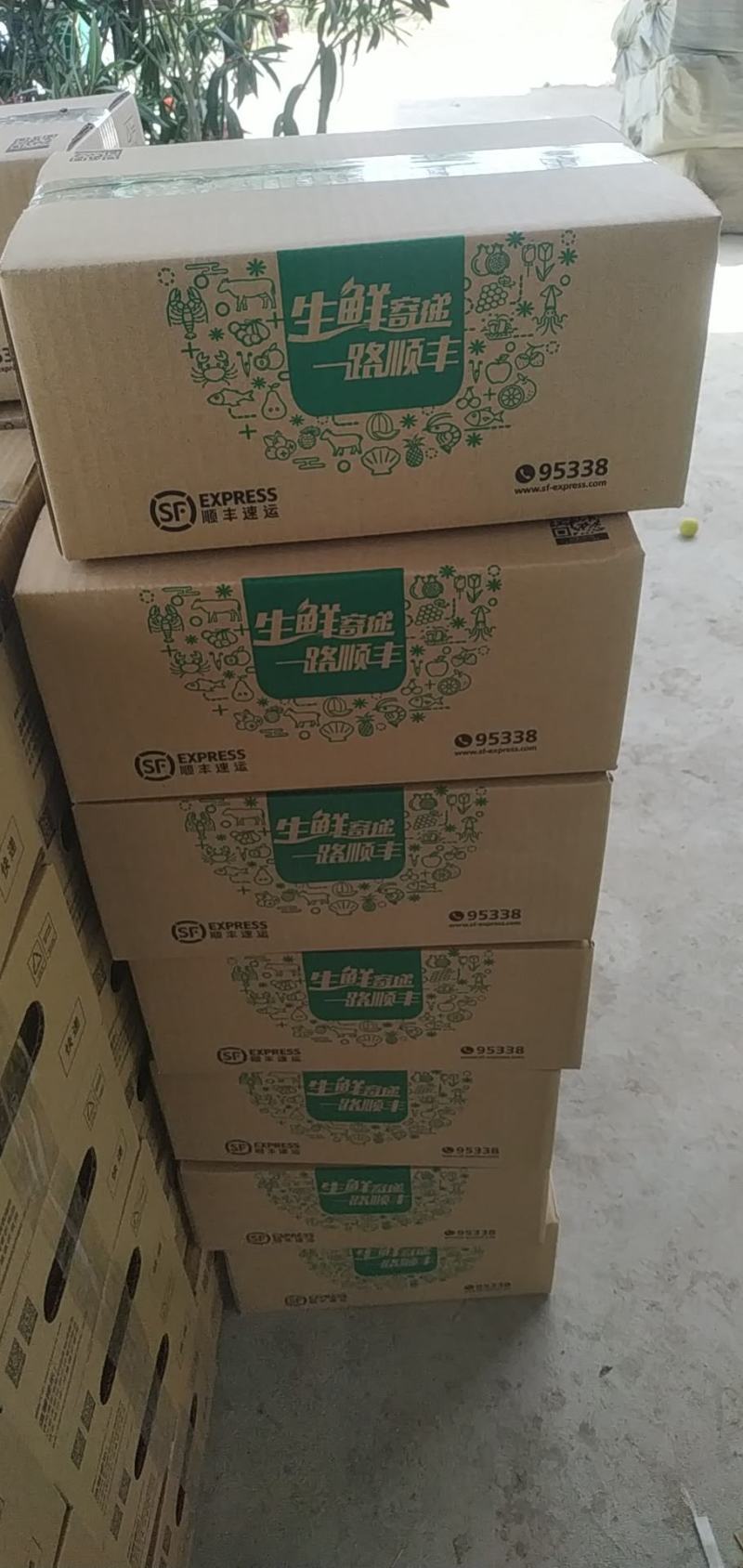 新疆伽师县法兰西西梅全国招代理支持一件代发落地配