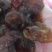批发2025年无核无沙桂味，乌叶，鸡嘴荔枝肉
