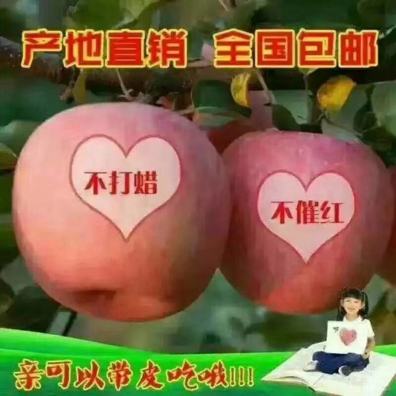 苹果