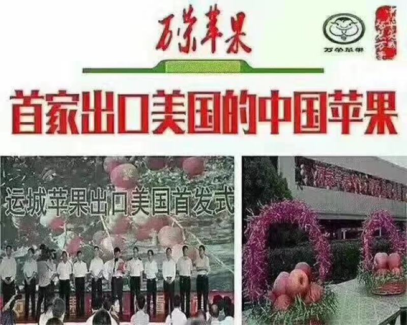 苹果