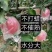 苹果