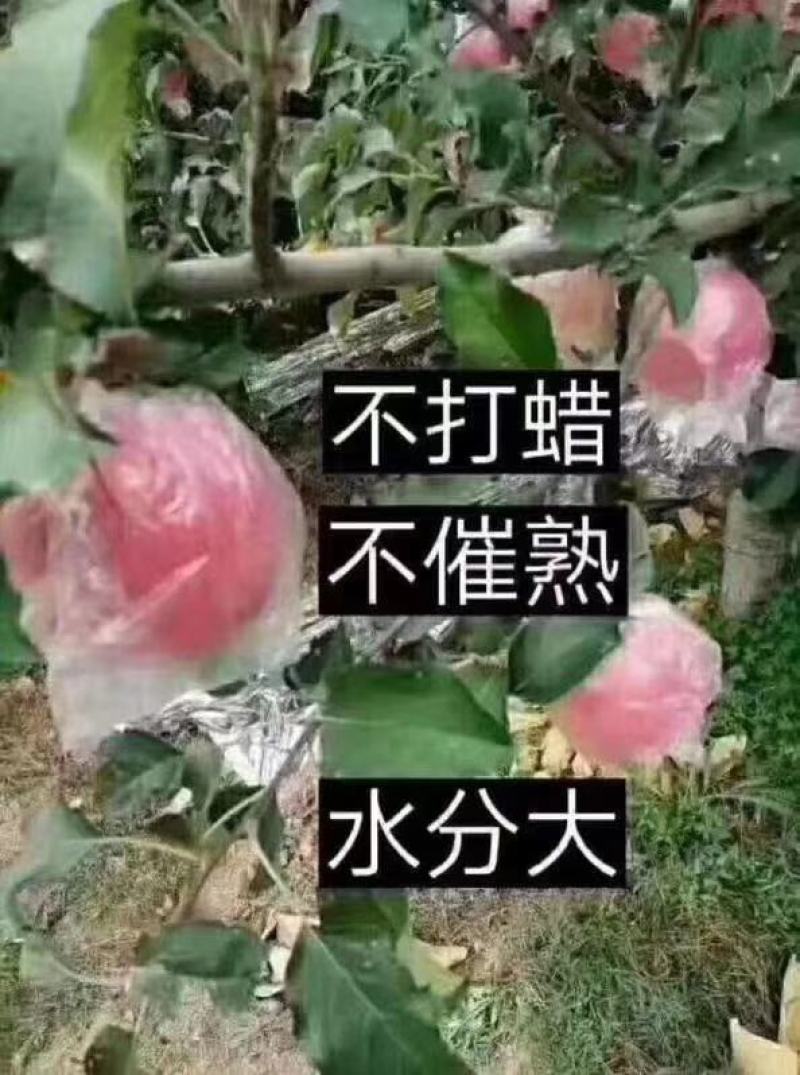 苹果