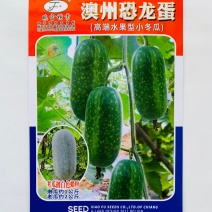 冬瓜种子澳州恐龙蛋高端水果型小冬瓜