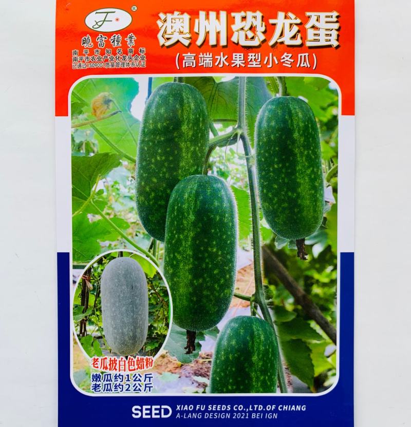 冬瓜种子澳州恐龙蛋高端水果型小冬瓜