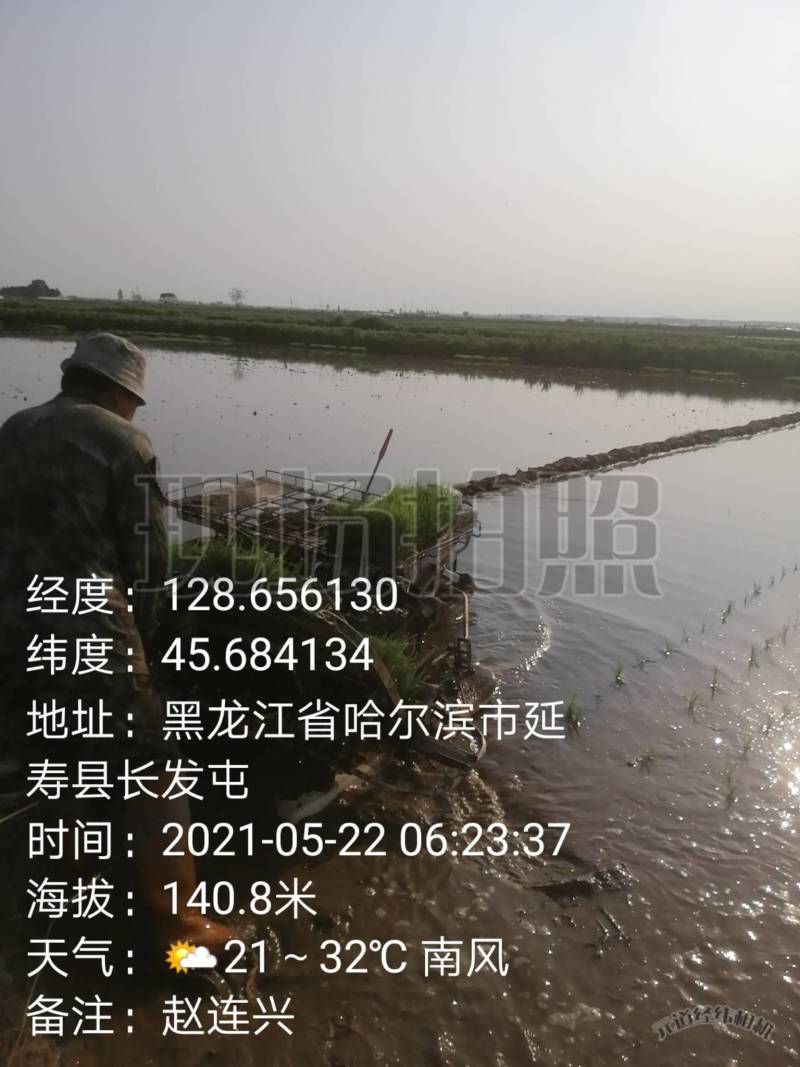 延寿信合有机稻米专业合作社小龙人淘乡甜延寿香米，黑土地种