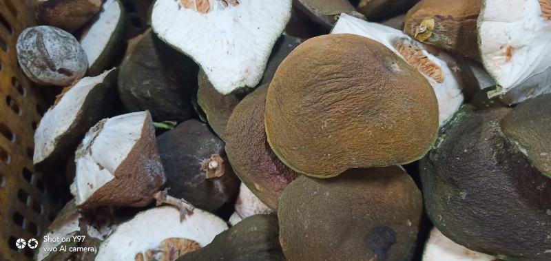 中药，陈皮皮香油多无坏皮湖南产地大量供应，货源充足