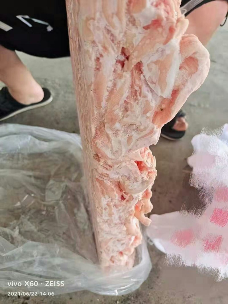 板冻无骨鸭掌，价格美丽，厂家直接发货，欢迎咨询