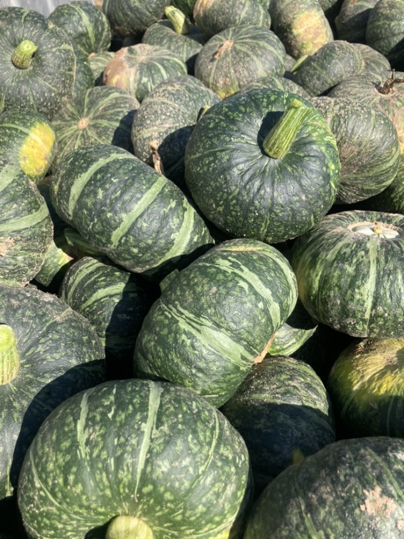 绿皮南瓜