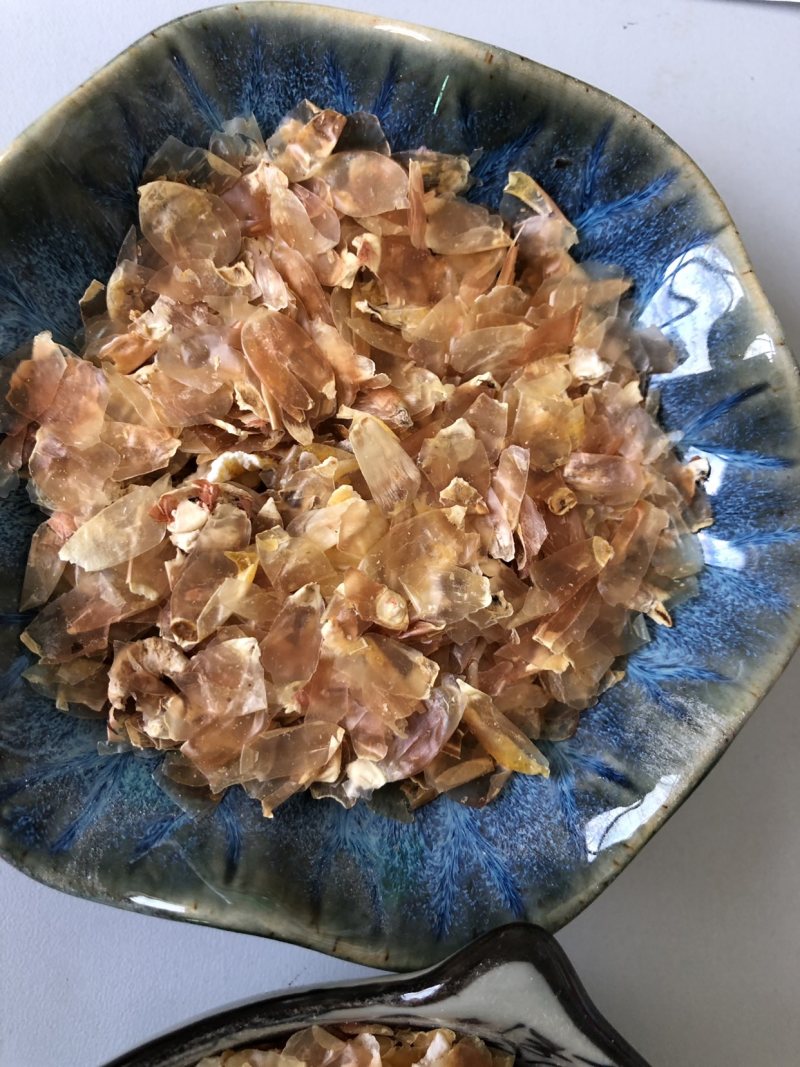 大粗皮